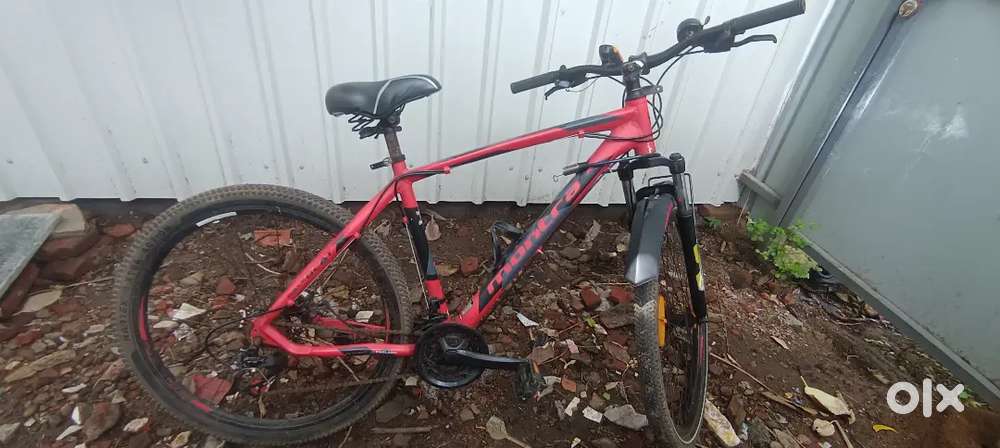 2019 model