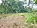8 cent square house plot Chavadimukku