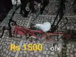 Cycle Good condition