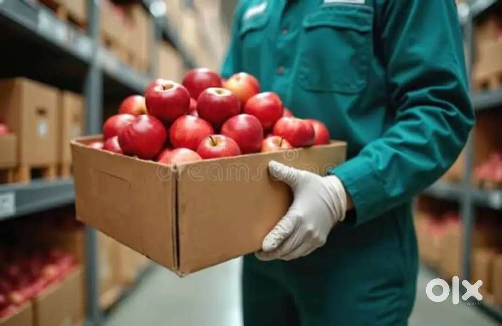 Wanted male/female warehouse packing staffs [ night = day ]