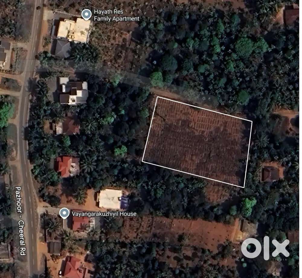 24 Cent Land for Sale in Cheeral  വില്പനയ്ക്ക് മികച്ച ഭൂമി, ചീരാൽ