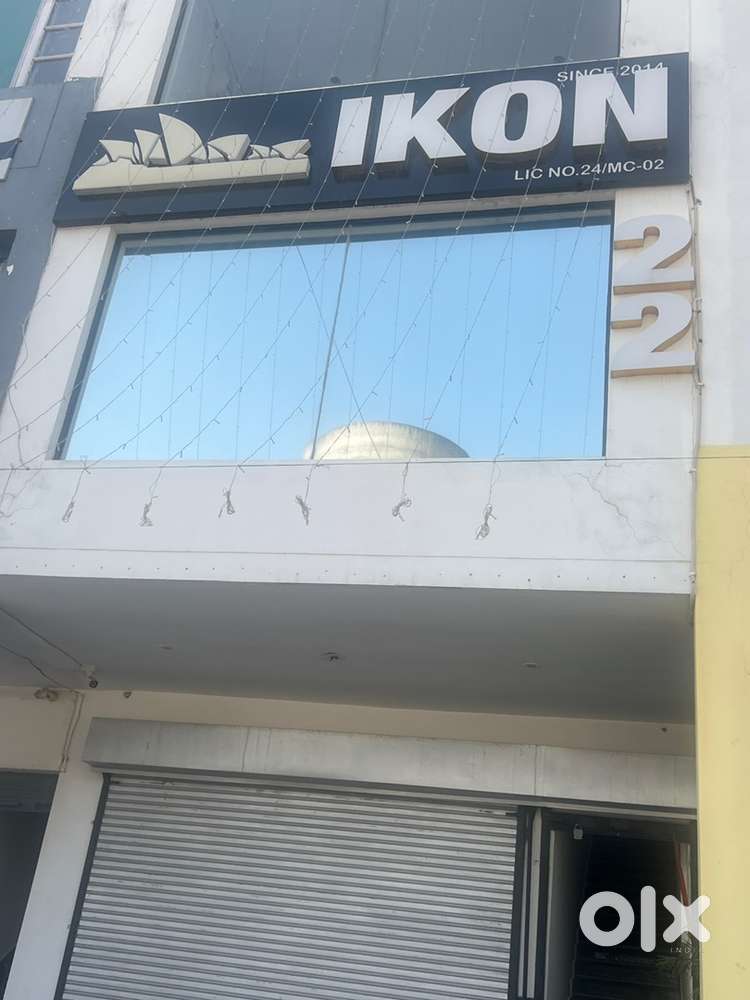 Visa Filling Executive