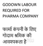 Godown Labour required for pharma - फार्मा के लिए गोदाम मजदूर की आवश्य