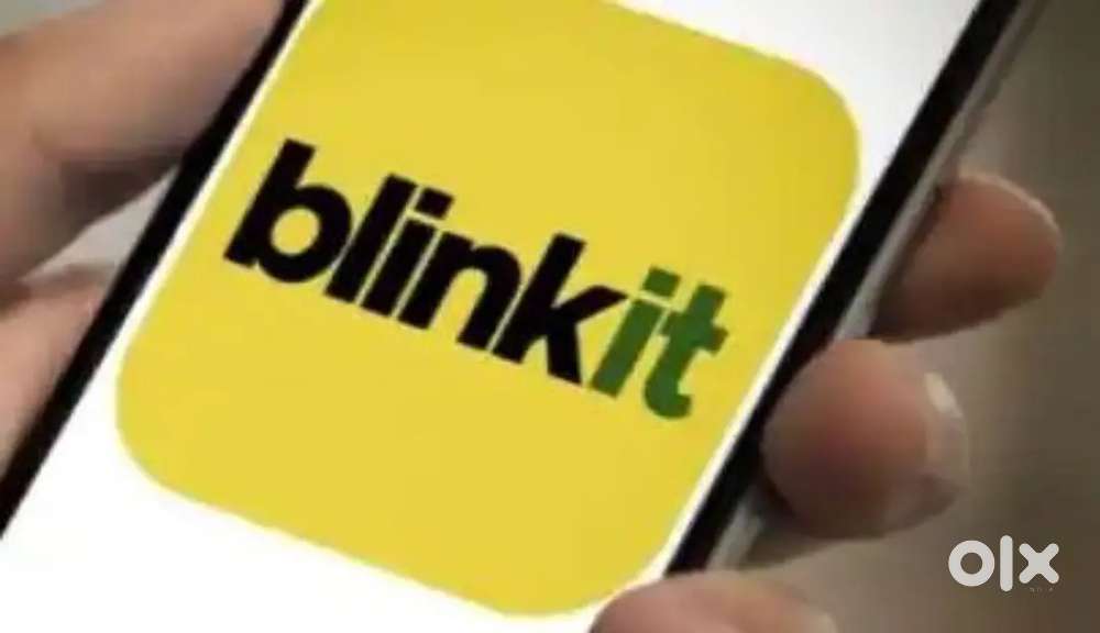 Hisar blinkit delivery boy