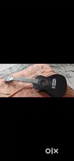 Ukulele(kendence)