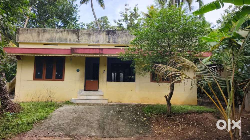 3 bhk house for rent near pappanamcode