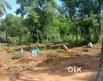 FULLY MANAGED FARM LAND AT GOURIBIDNUR HIGHWAY RD