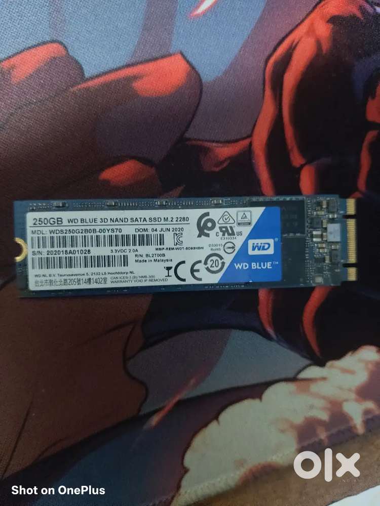 Wd BLUE 250 GB SSD M.2