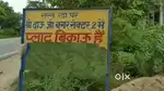 Morena me sbse saste plot