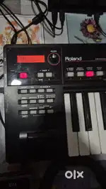 Roland Xps 10,
No complaints, Neat