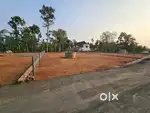 SQUARE PLOT FOR SALE 11 CENT