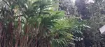Agricultural land for sale