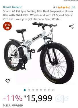 Fat tyre bicycle