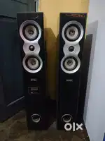 Intex sound woofer