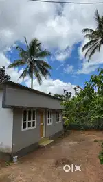 Ideal for a family home