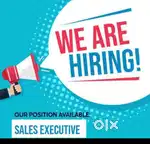 Part time / Full time / work from home