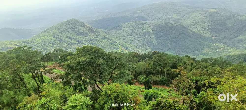 Thalanadu via kalakoodu Illikkalkallu