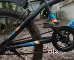 Hercules Street Cat Pro. 3.0