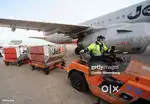 Direct Joining In Airport Baggage Handling Staff