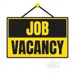 Girl/Lady Required for Baby Care etc