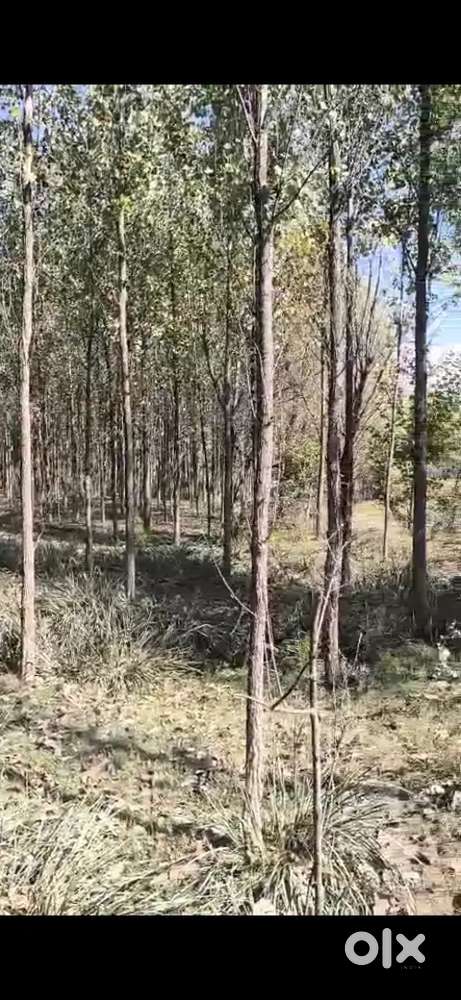 Premium land for smart long term investment