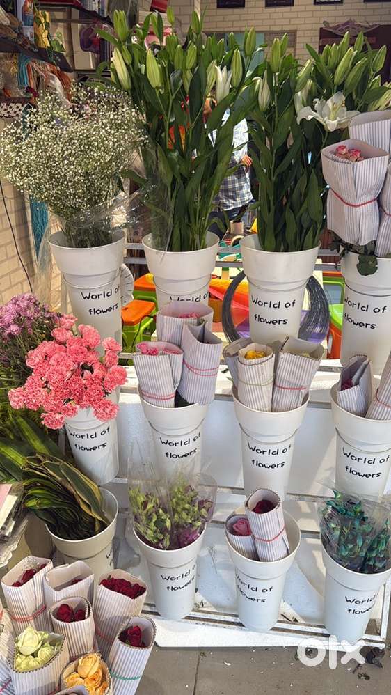 Delivery Boy needed For Fnp