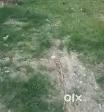 I want to sell my plot