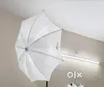 1 White umbrella focus light