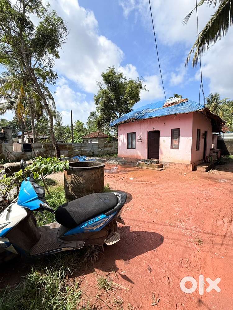 5 cent plot with small house for sale