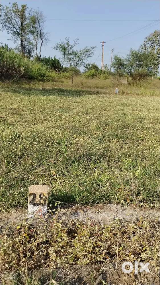 600 sq plot with Collector NA