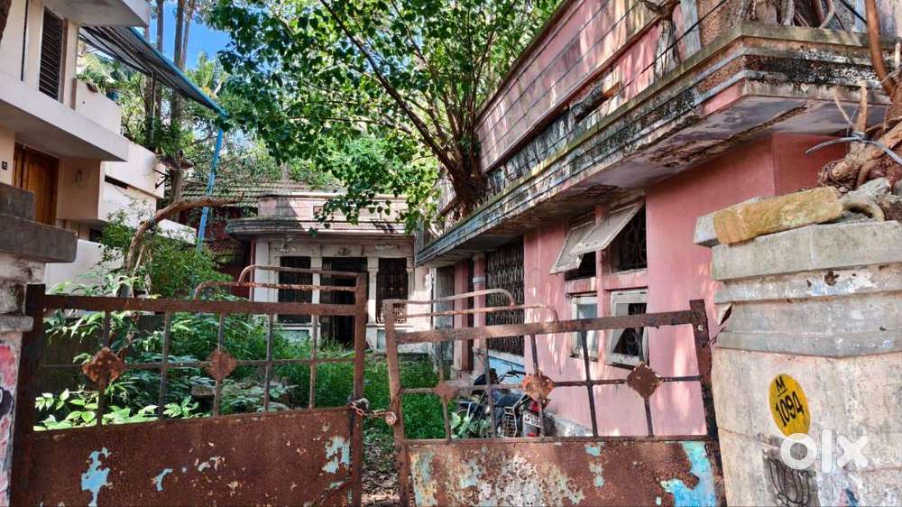 PLOT FOR SALE  11 Cents  Roadside