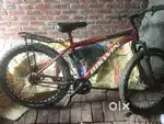 Bikewin bicycle with non gear and disk break