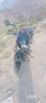 Pulsar 125 split seat September 2021 model