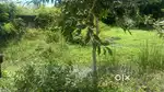 Good land and near by schools and bus stop