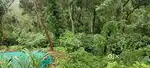 2.5Acres of Land with 1850sqft House in Biason Valley, Munnar