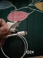 Iphone orignal charger