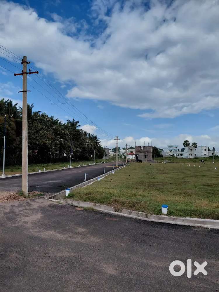 Urgent sale per cent 6.50 L DTCP plots in othakalmandapam