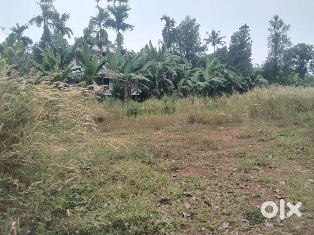 LAND FOR SALE 38 CENT  PUKKATUPADY MALAYIDAMTHURUTH