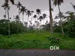 15.5 cent square plot: Ashtamichira