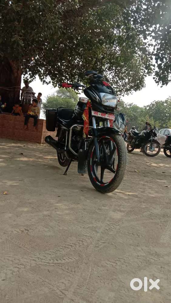 Other Brands / Others