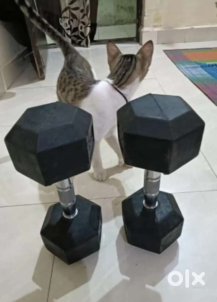 7.5kg dumbbell