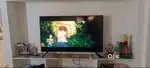 Samsung TV (AC220-240V~50/60Hz 135W)