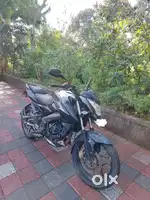 Pulsar ns 160   2019 year