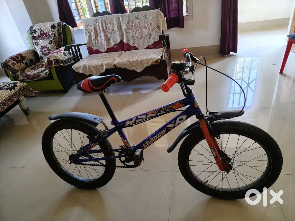 Leader bicycle