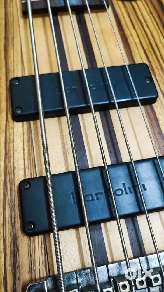 Cort A5 custom Z Bass guitar