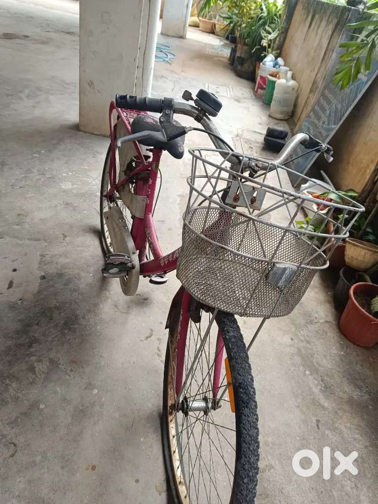 Ladies Cycle