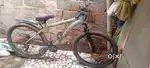 Belleza cycle
