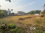 1.5 kotha myadi land near Na Ali Jorhat to sale on urgent basis