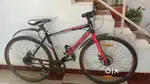 6 month old bicycle