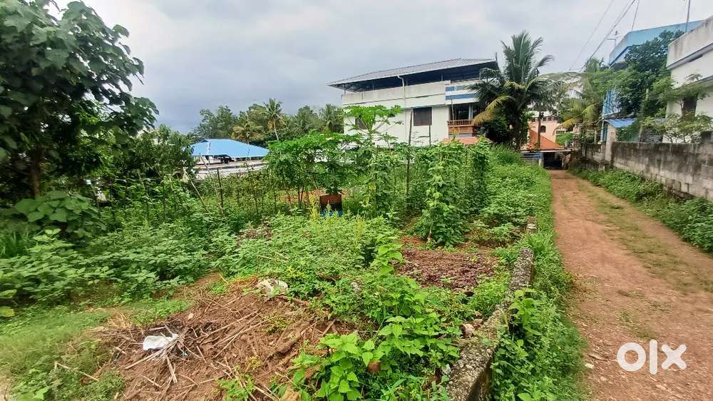 10 CENT DRAY LAND FOR SALE